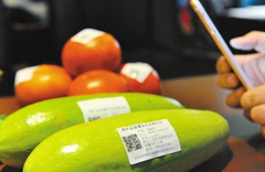 電碼防偽標(biāo)簽是如何制作的，電碼防偽技術(shù)制作流程有哪些？