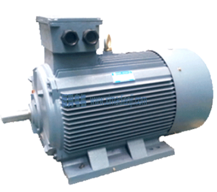 記錄一次YE2高效節(jié)能電機(jī)維修和保養(yǎng)過程