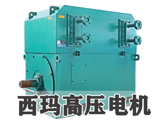 西安西瑪電機(jī)廠家：五種常見高壓電機(jī)故障及現(xiàn)場檢修方法